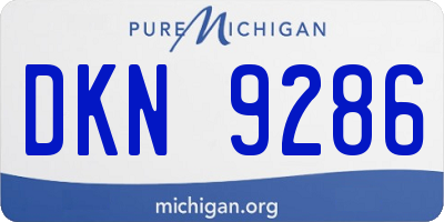 MI license plate DKN9286
