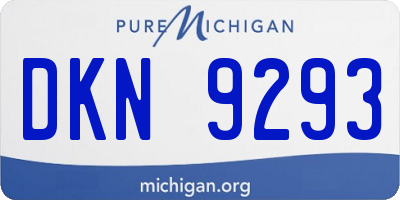 MI license plate DKN9293