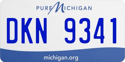 MI license plate DKN9341
