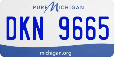 MI license plate DKN9665