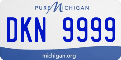 MI license plate DKN9999