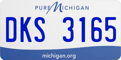 MI license plate DKS3165