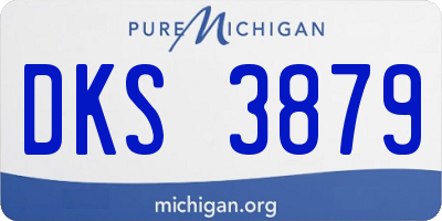 MI license plate DKS3879