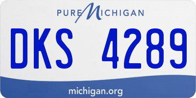 MI license plate DKS4289