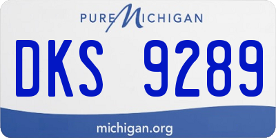 MI license plate DKS9289