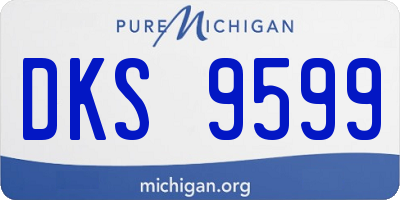MI license plate DKS9599