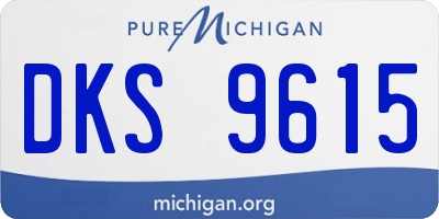 MI license plate DKS9615