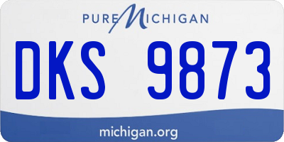 MI license plate DKS9873