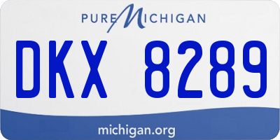 MI license plate DKX8289