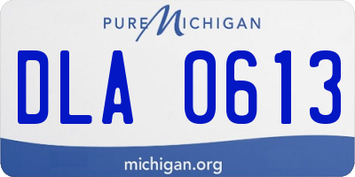 MI license plate DLA0613