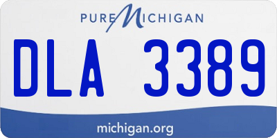 MI license plate DLA3389