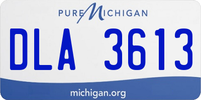 MI license plate DLA3613