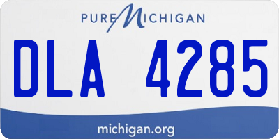 MI license plate DLA4285