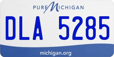 MI license plate DLA5285