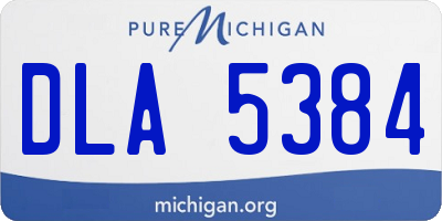 MI license plate DLA5384