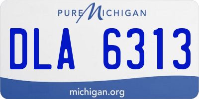 MI license plate DLA6313