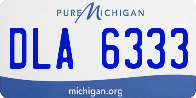MI license plate DLA6333