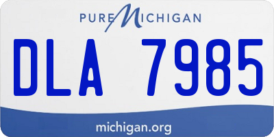 MI license plate DLA7985