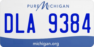 MI license plate DLA9384