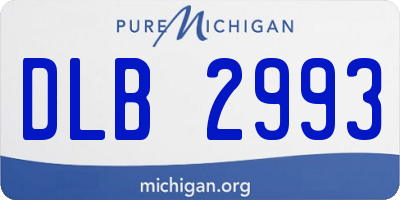 MI license plate DLB2993