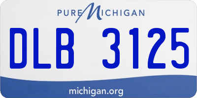 MI license plate DLB3125