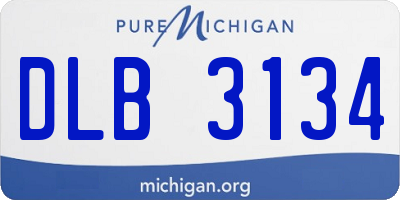 MI license plate DLB3134