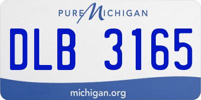 MI license plate DLB3165
