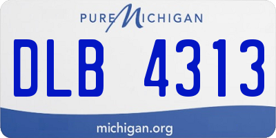 MI license plate DLB4313