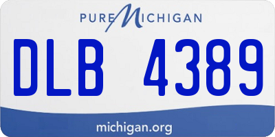 MI license plate DLB4389