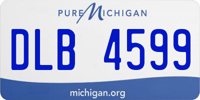 MI license plate DLB4599