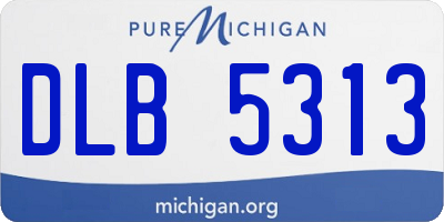 MI license plate DLB5313