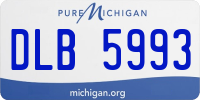 MI license plate DLB5993