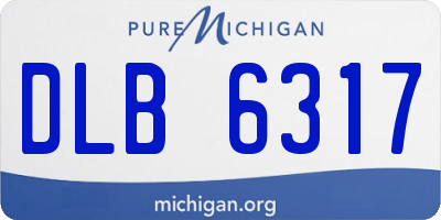 MI license plate DLB6317