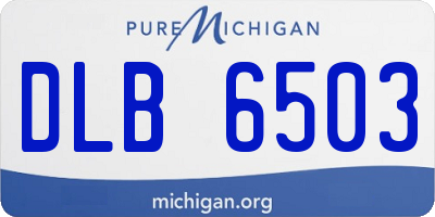 MI license plate DLB6503