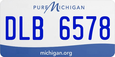 MI license plate DLB6578