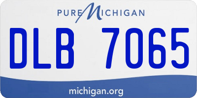 MI license plate DLB7065