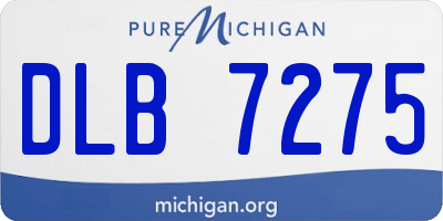 MI license plate DLB7275