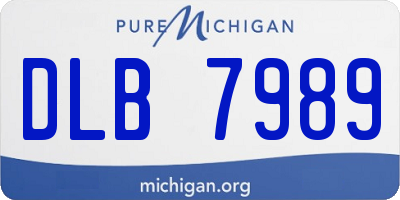 MI license plate DLB7989