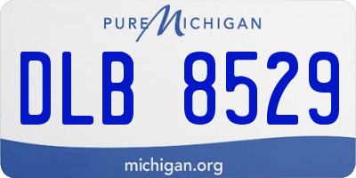 MI license plate DLB8529