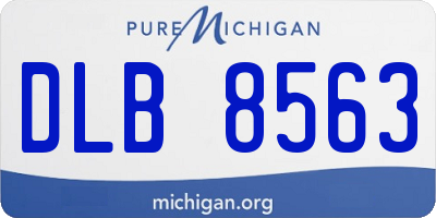 MI license plate DLB8563