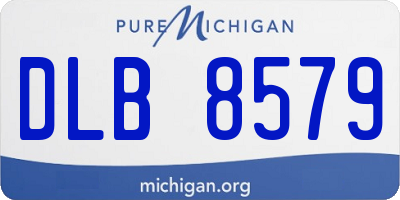 MI license plate DLB8579