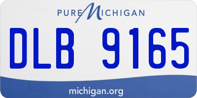 MI license plate DLB9165