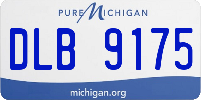 MI license plate DLB9175