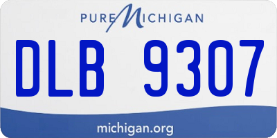 MI license plate DLB9307