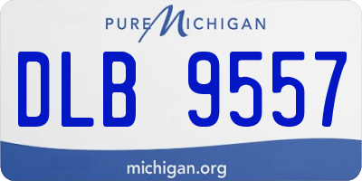 MI license plate DLB9557