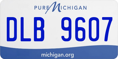 MI license plate DLB9607