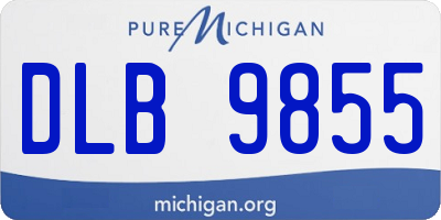 MI license plate DLB9855
