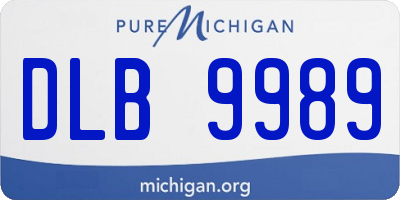 MI license plate DLB9989