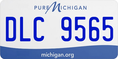MI license plate DLC9565