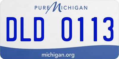 MI license plate DLD0113